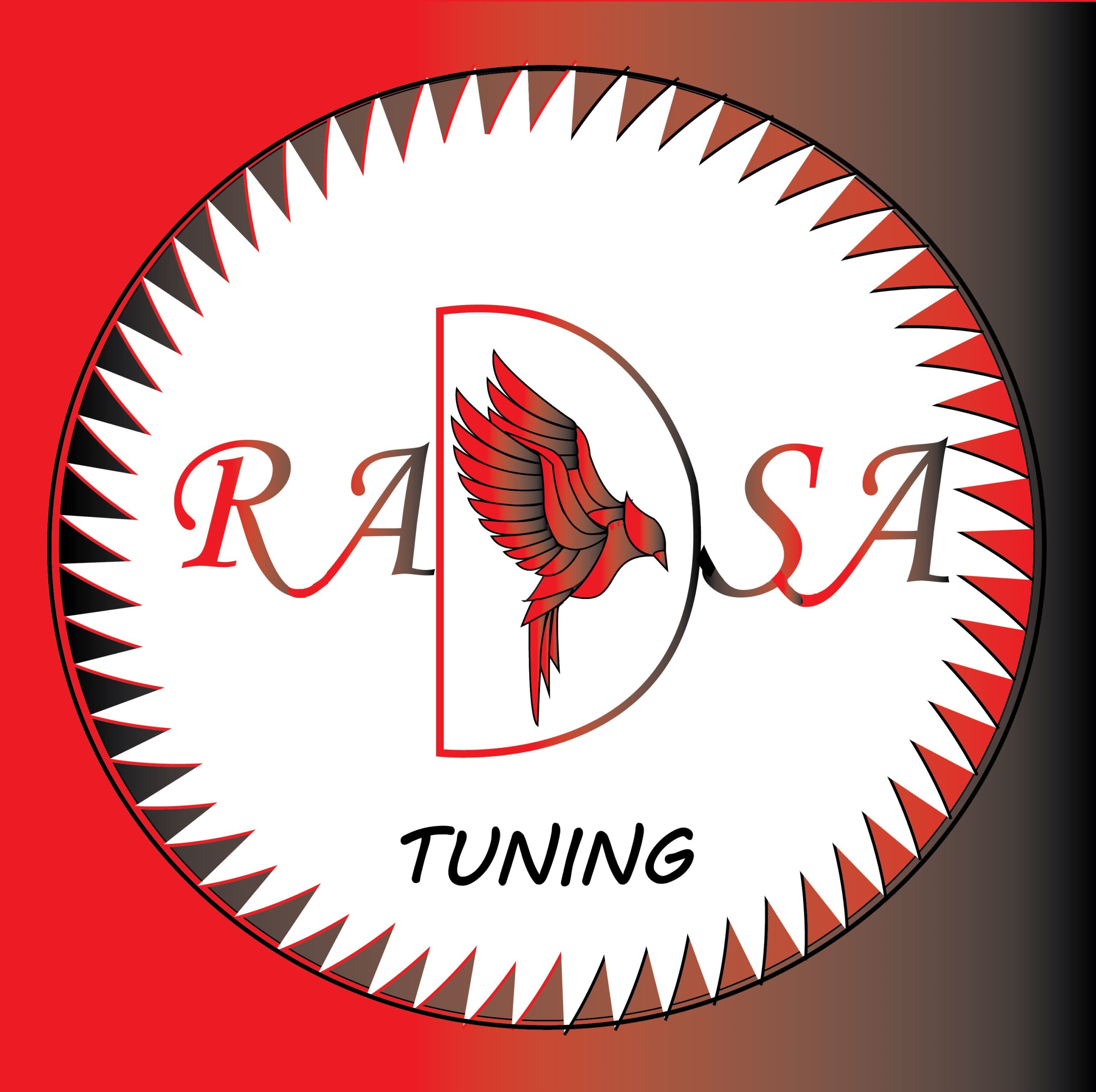 RADSA TUNING